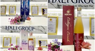 nuoc uong collagen hali 0009