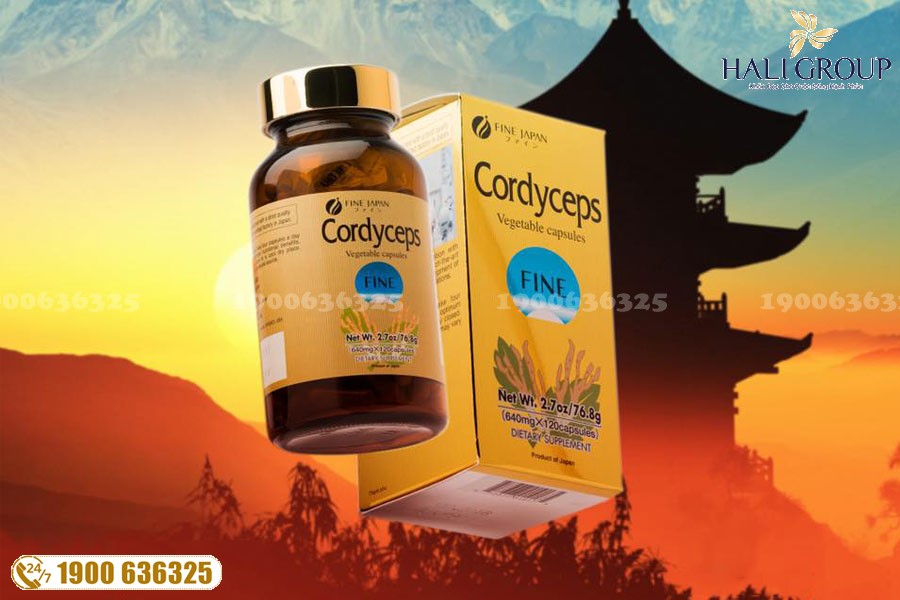 Cordyceps Fine Japan - sản phẩm "vàng" cho sức khỏe của bạn