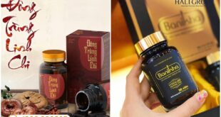 Nên chọn viên Banikha Thiên Phúc hay viên ăn ngủ ngon đông trùng linh chi